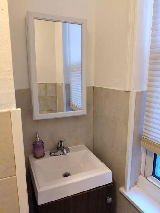 New Cozy 1 Bedroom Apartment