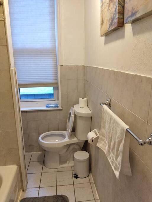 New Cozy 1 Bedroom Apartment *